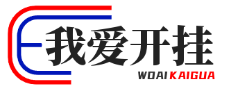 我爱开挂