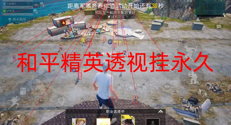 和平精英透视挂永久